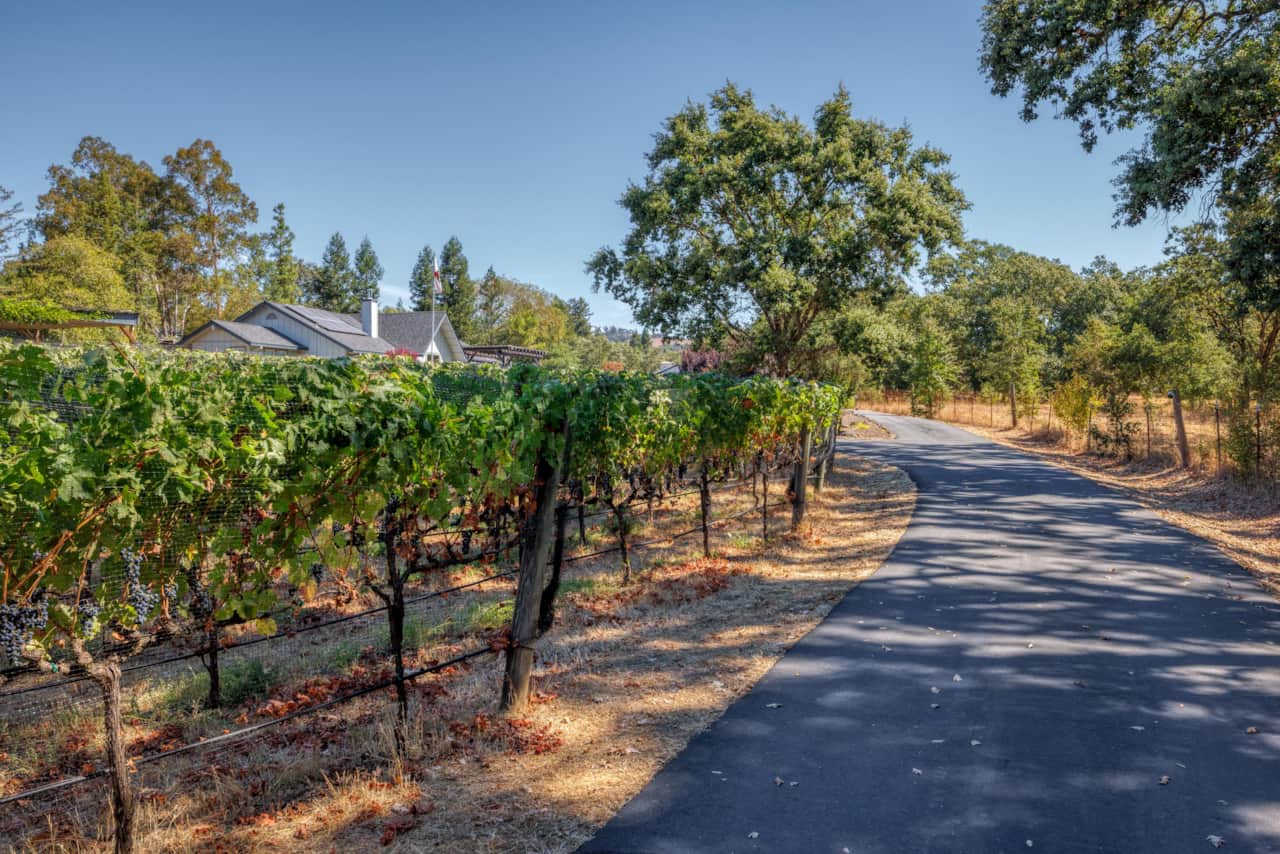 Private drive alongside the hobby vineyard