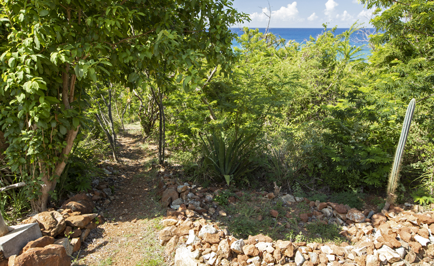 Pathway from yard to Kiddel Bay