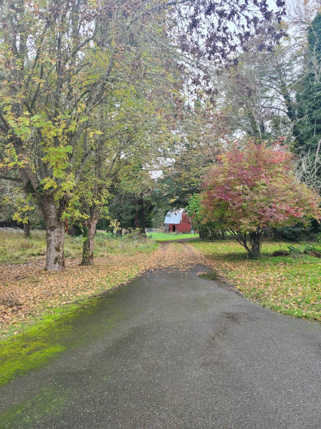 This is the driveway.