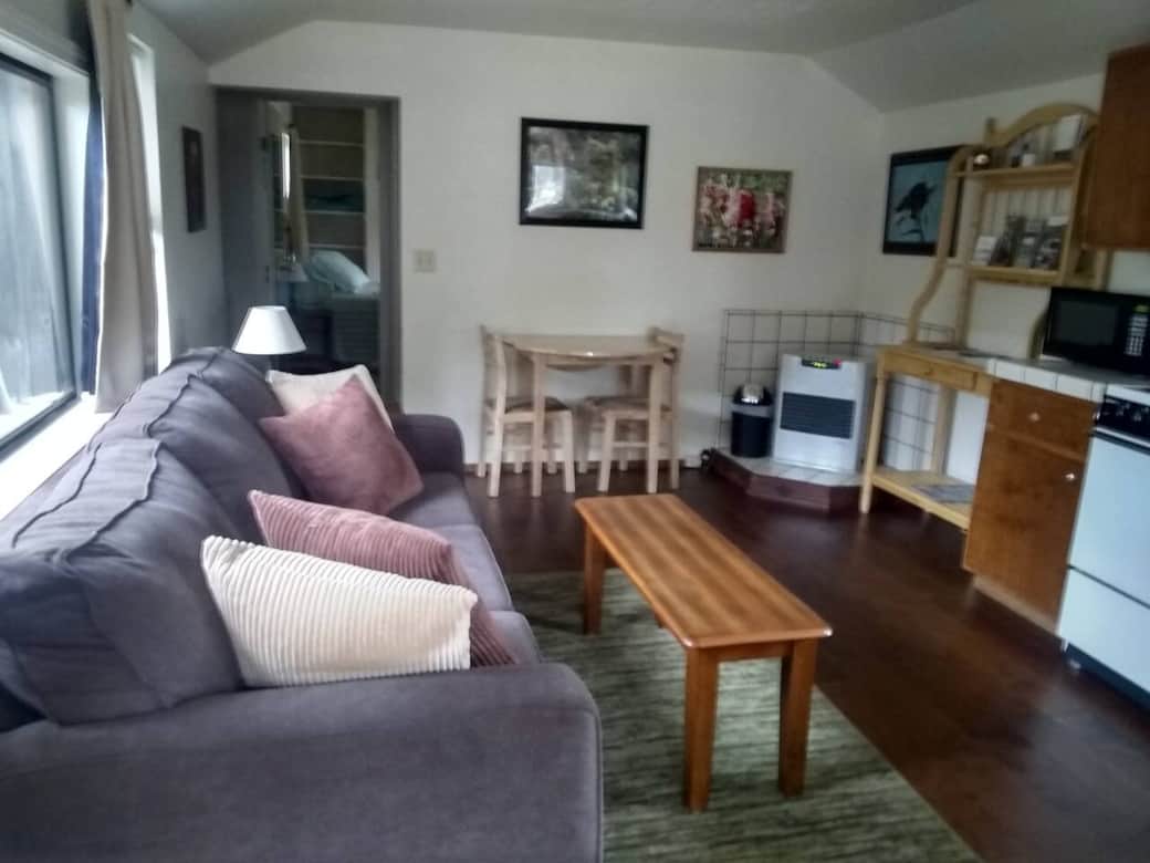 The front room with queen couch The front room with queen couch