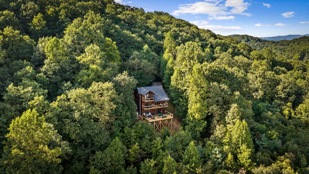 Private location surrounded by the trees and mountain views