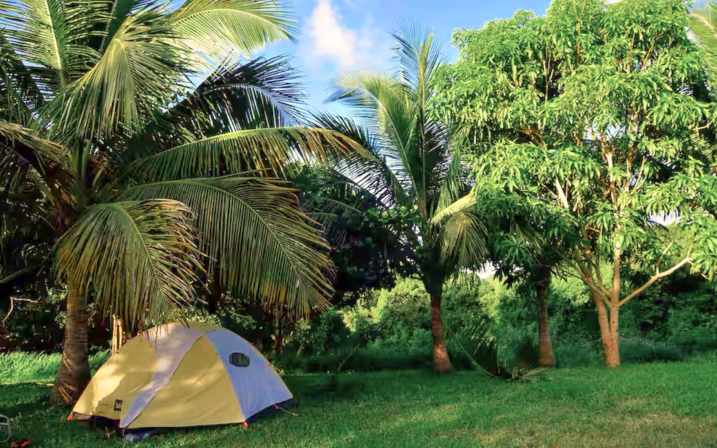 Multiple Tent Sites Available (Bring-Your-Own Tent)