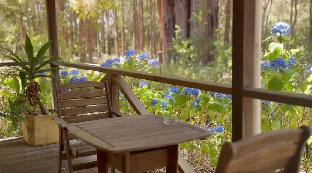 Screen Shot 2025-01-10 at 11.00 Screen Shot 2025-01-10 at 11.00