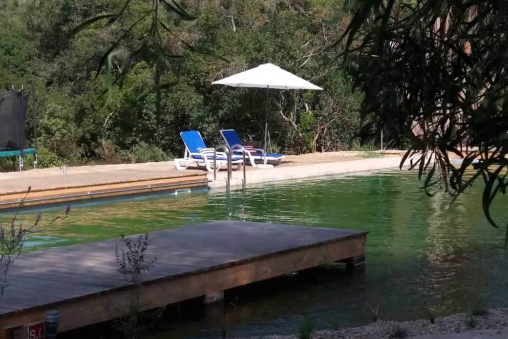 Shared pool area