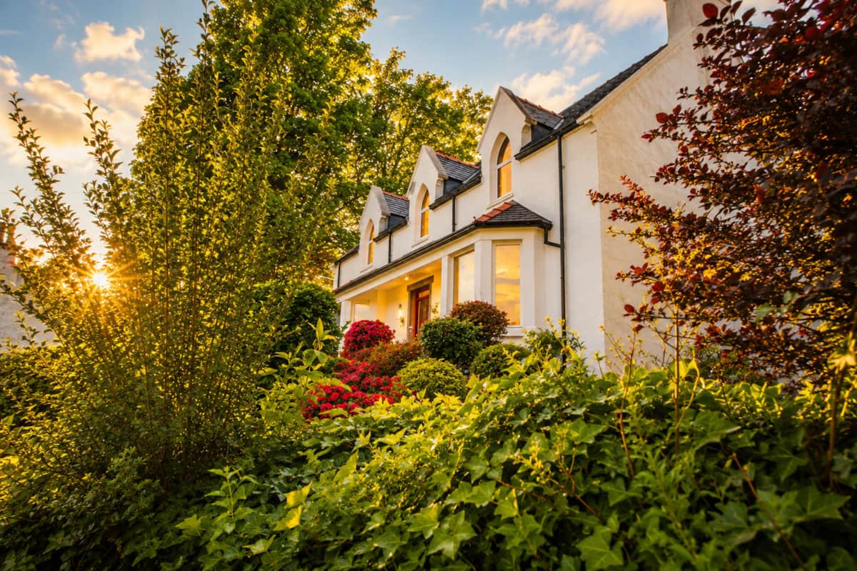 The house glimpsed through the garden's trees in evening sun.