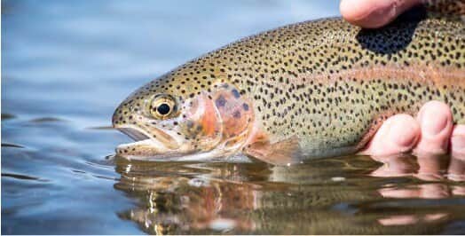 Epic fishing is just out the door!