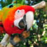 Rental image