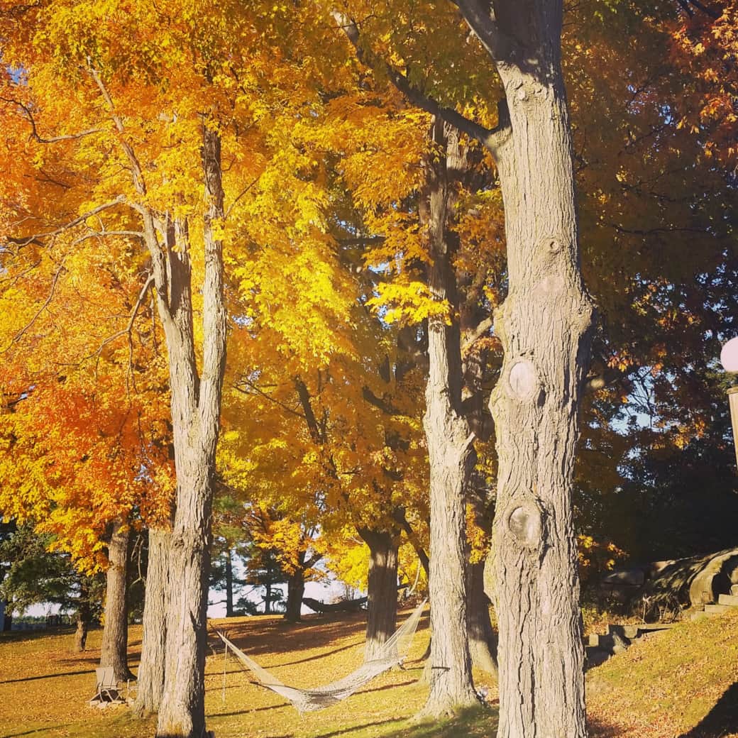 Fall III