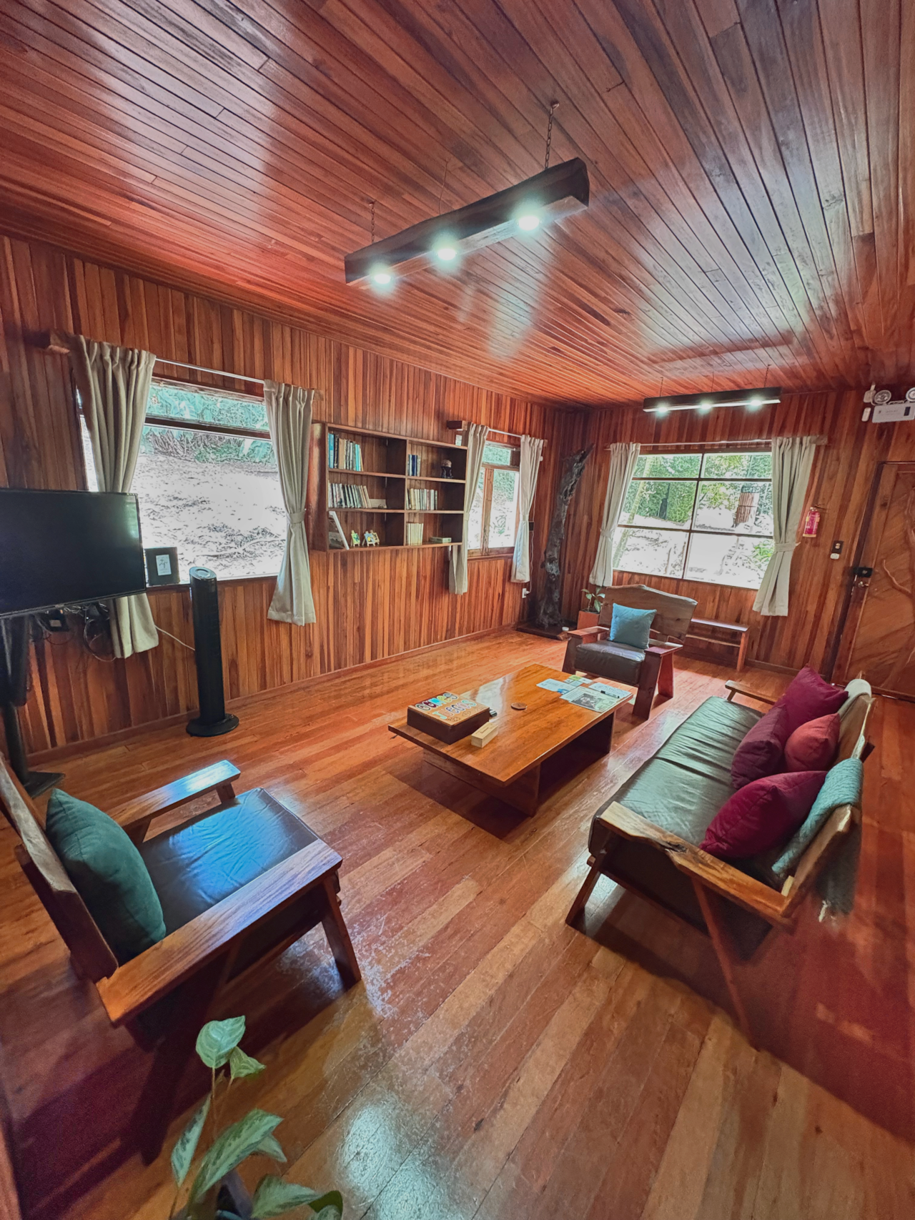 🪵 Cozy lounge with relaxing forest views. 🌿