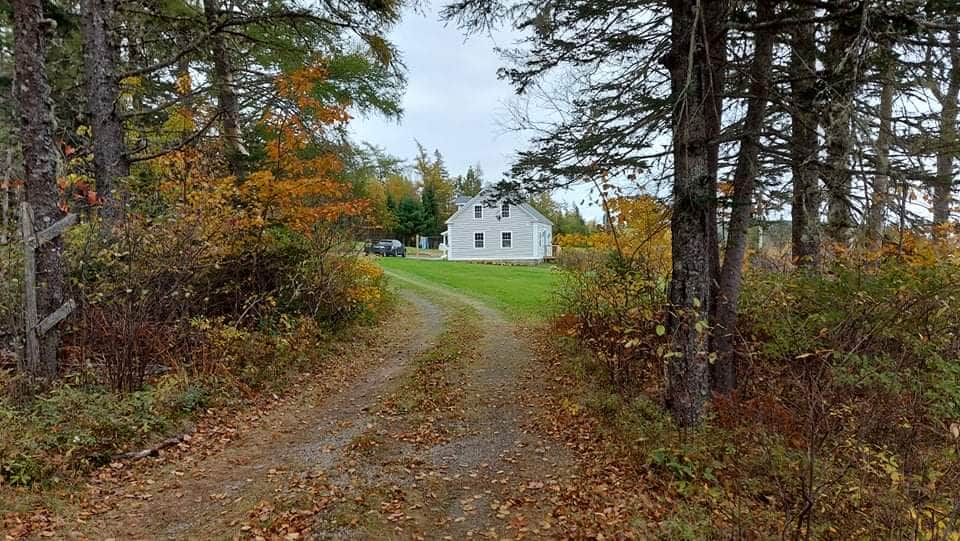 Driveway to the house