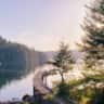 Rental image