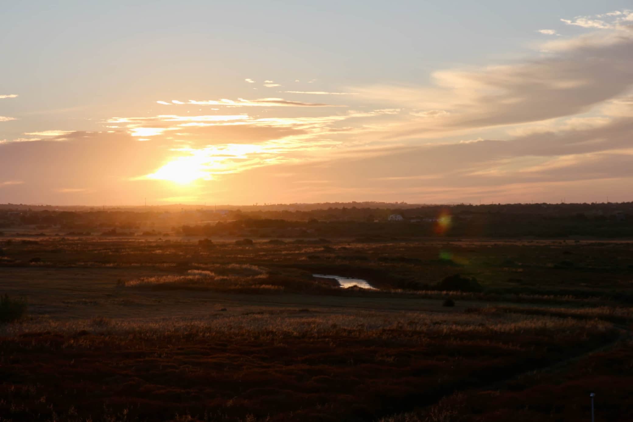 https://l.icdbcdn.com/oh/7d1554b3-97c0-49c3-8ae2-f4f89b8cef32.jpg?w=2080-60