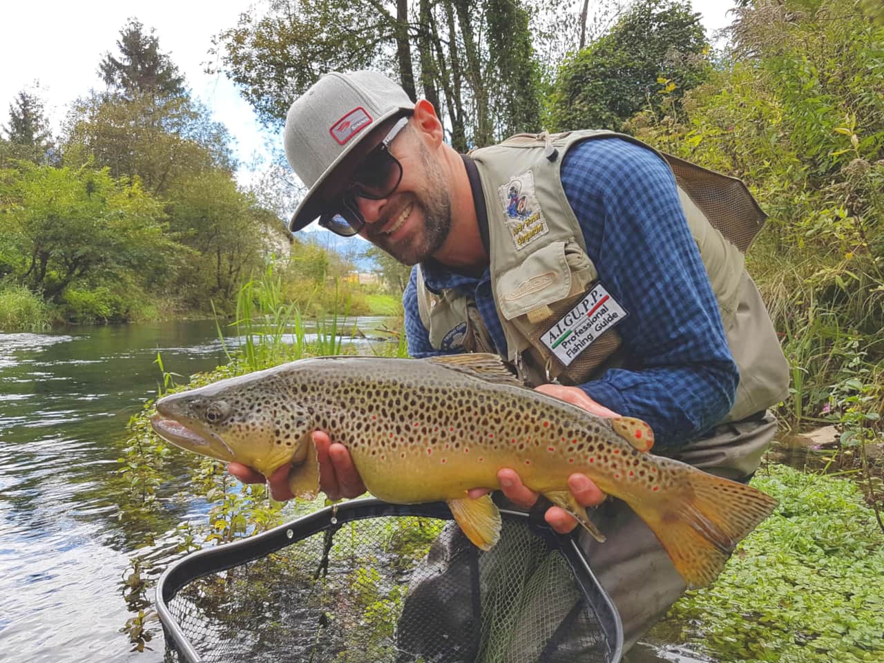 BrownTrout