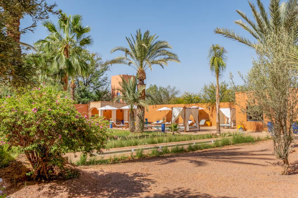 Jardin - Piscine