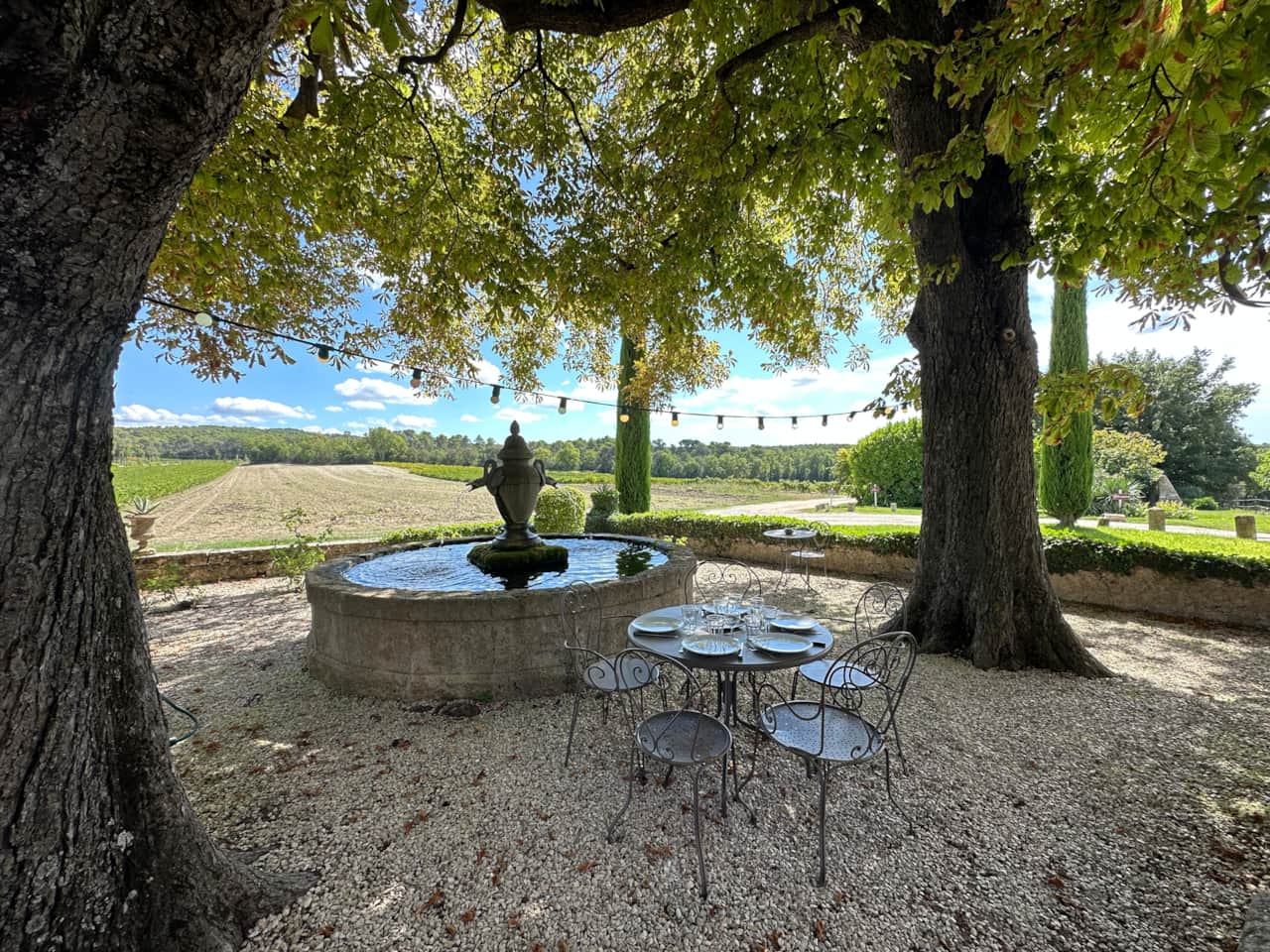 jardin, fontaine, chaises, vignes