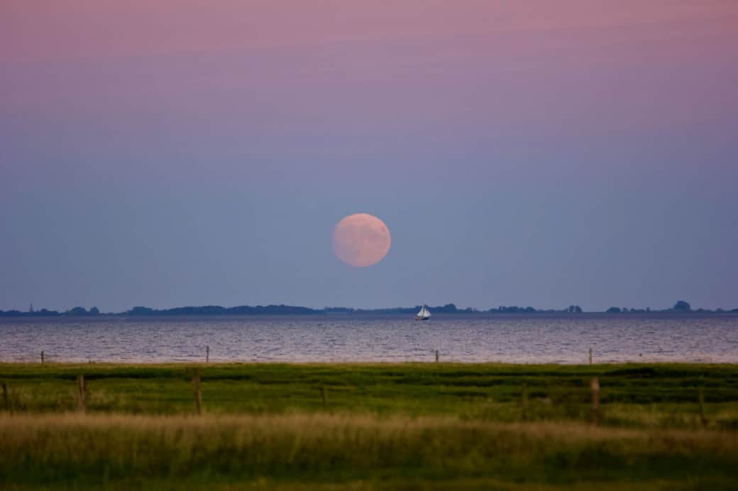 Schitterend uitzicht over het wad