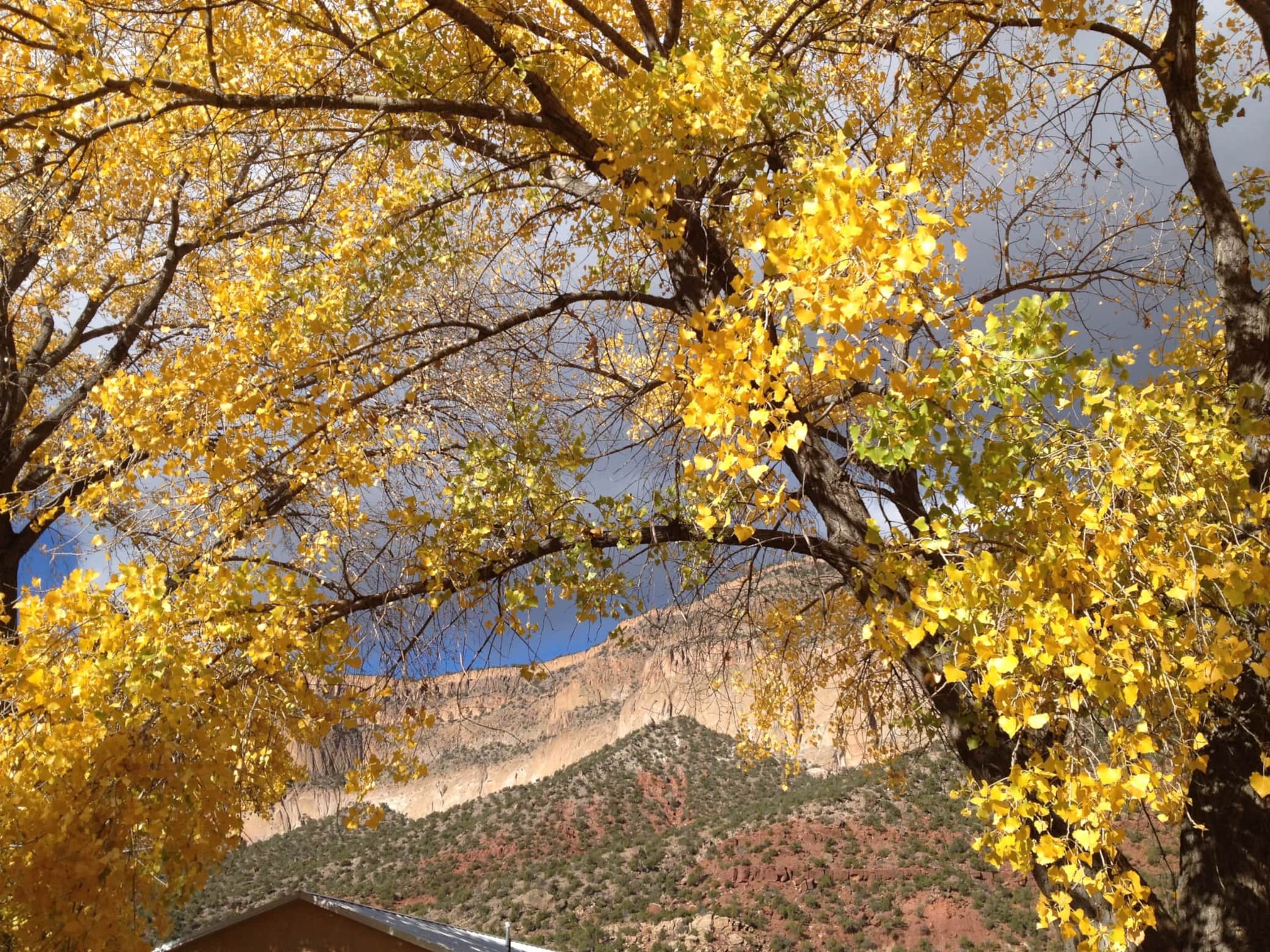 Virgin Mesa Fall 