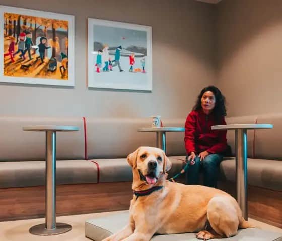 Pet Lounge on Manxman (credit: Steam Packet Company)
