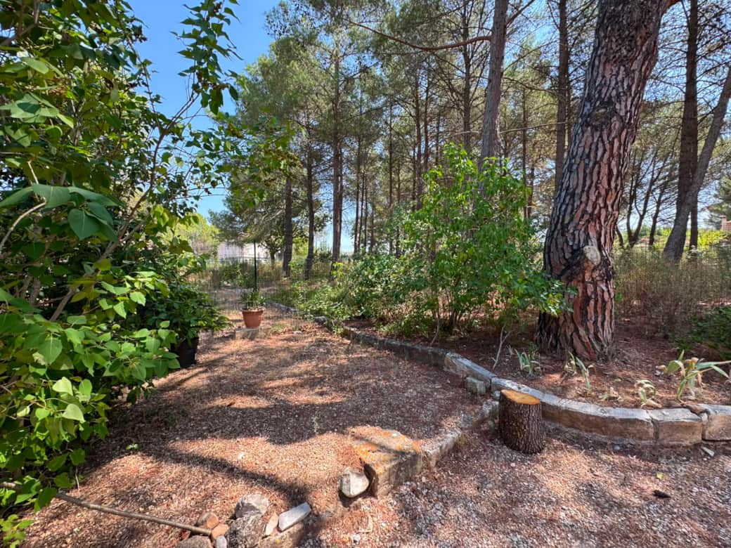 Jardin Jardin