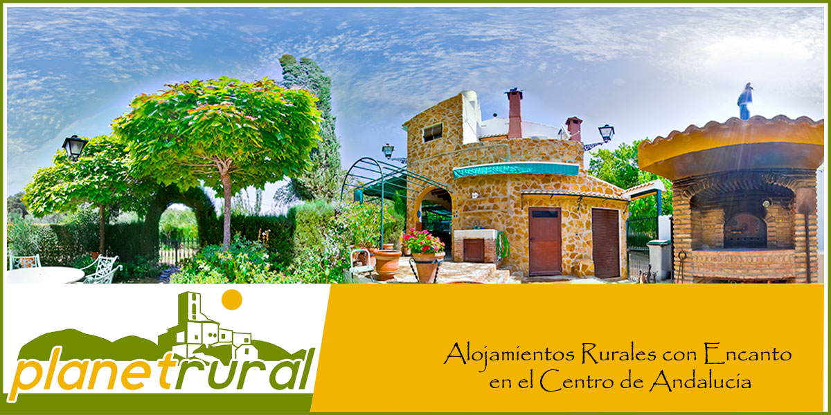 005RURAL 14ALG04
