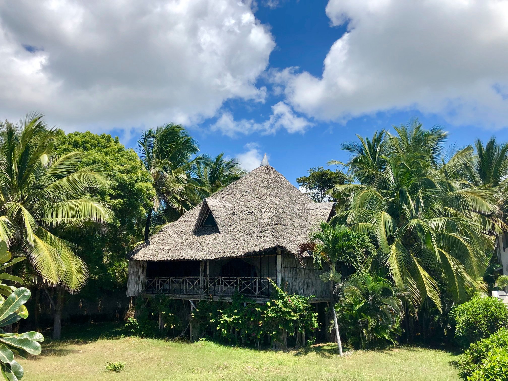 69669681 2479974905358577 6830732729340919808 o