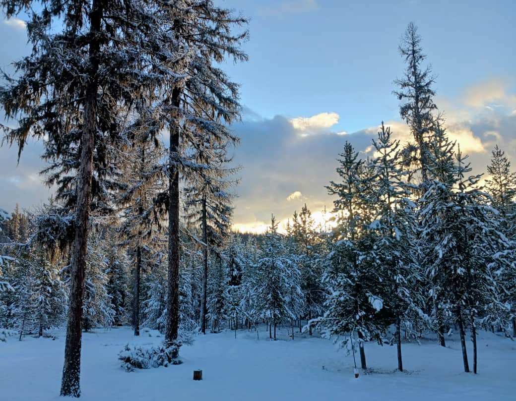 Sunrise and snow view