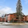 Rental image