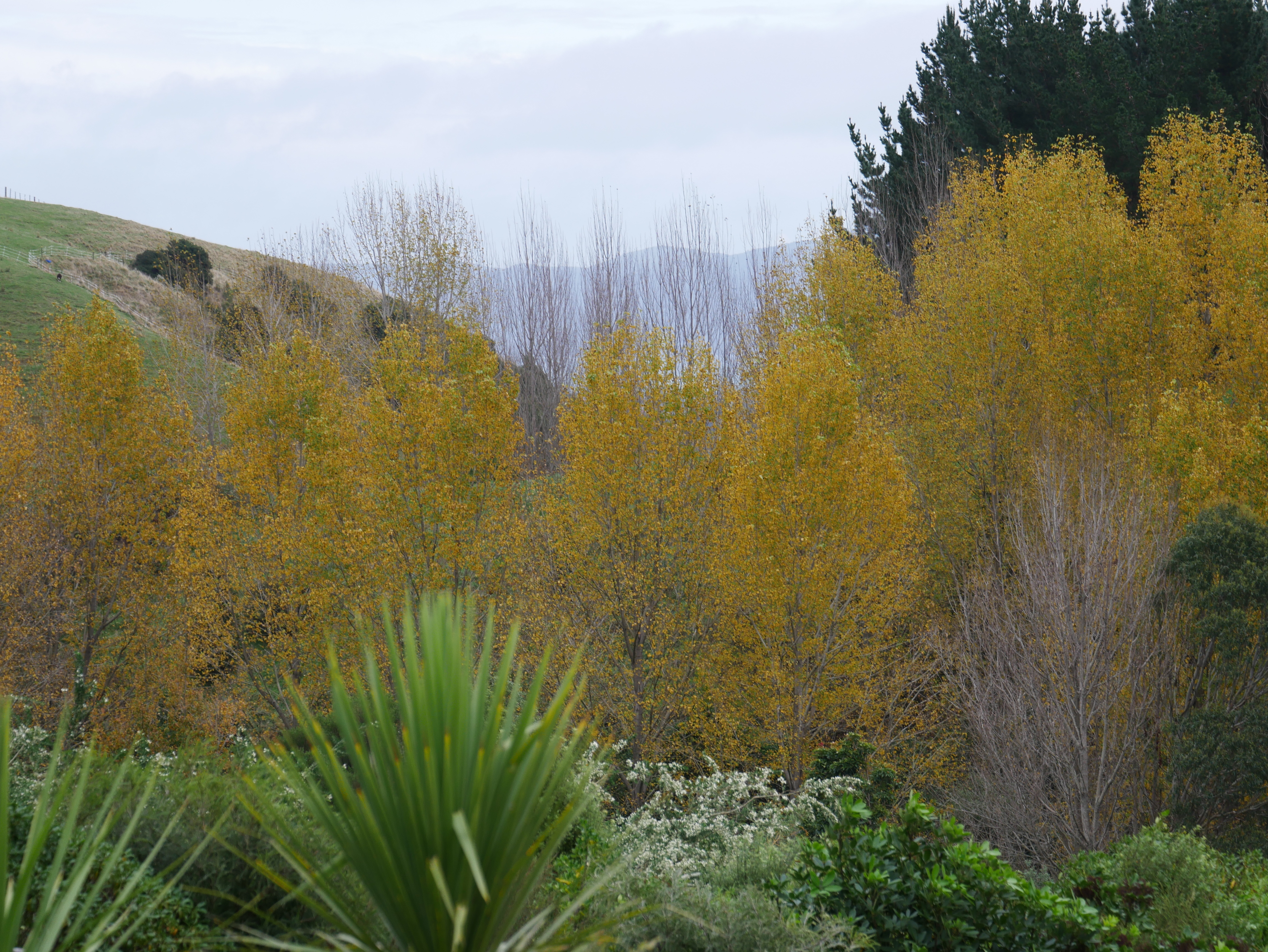 Autumnal views from Aston Road Villa 