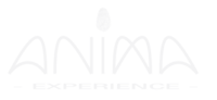 Anima Experience