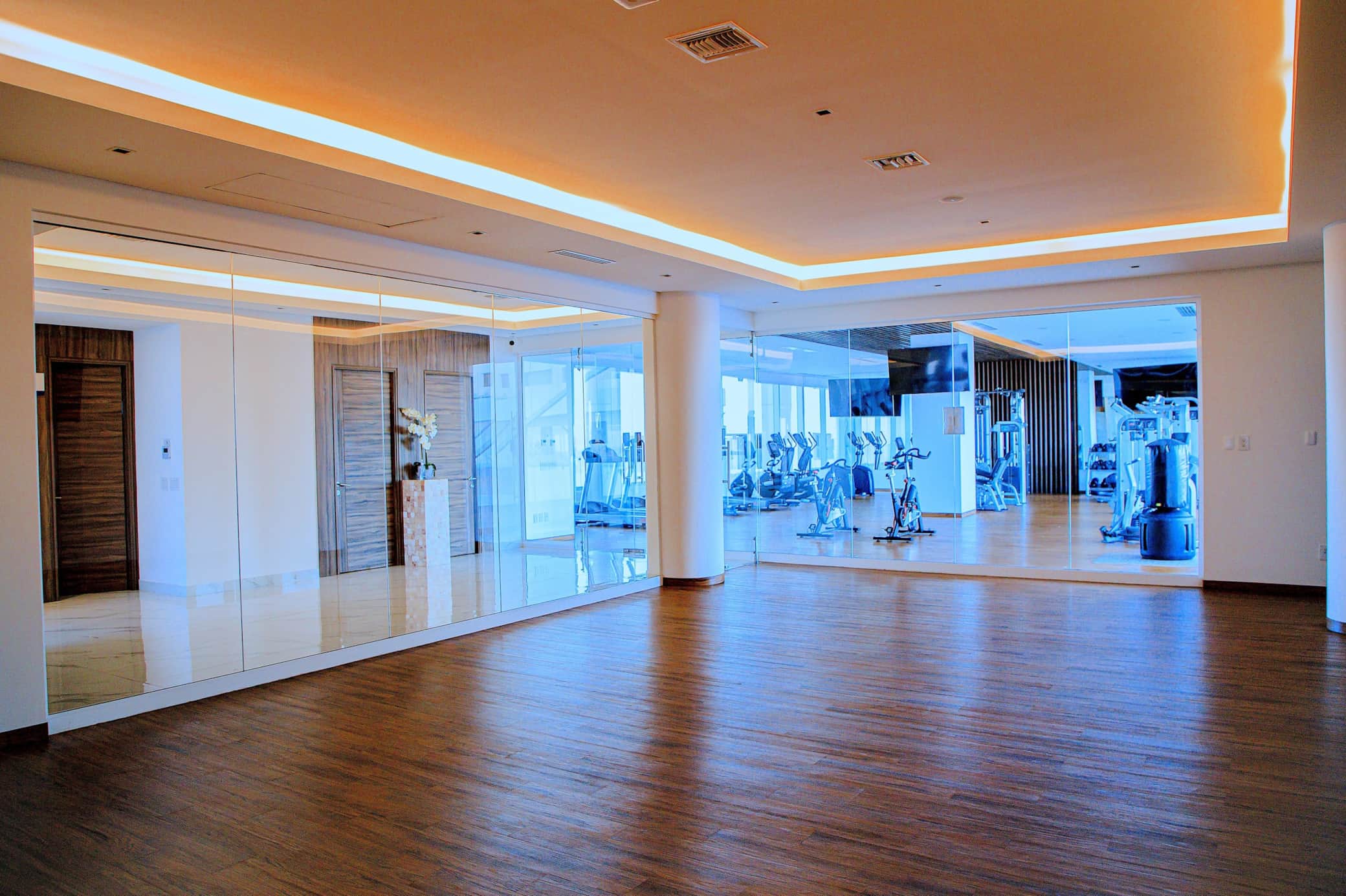 Fitness Center (free weights, cardio)