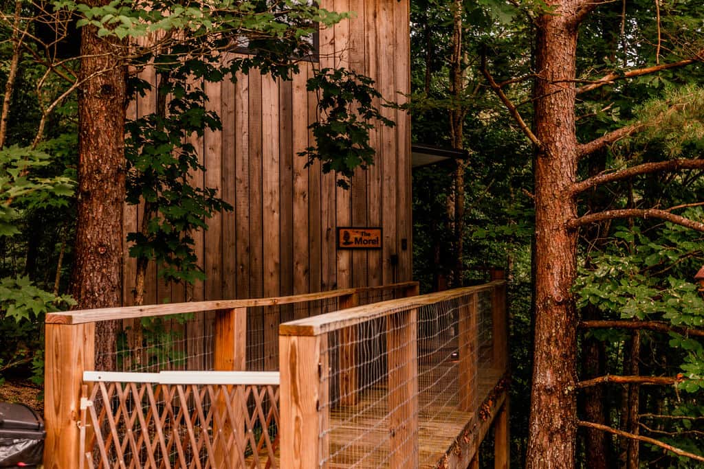 Small Walkway to the front door