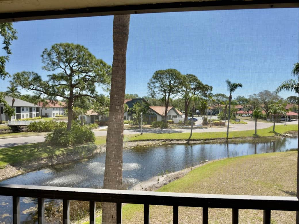 View from the Balcony