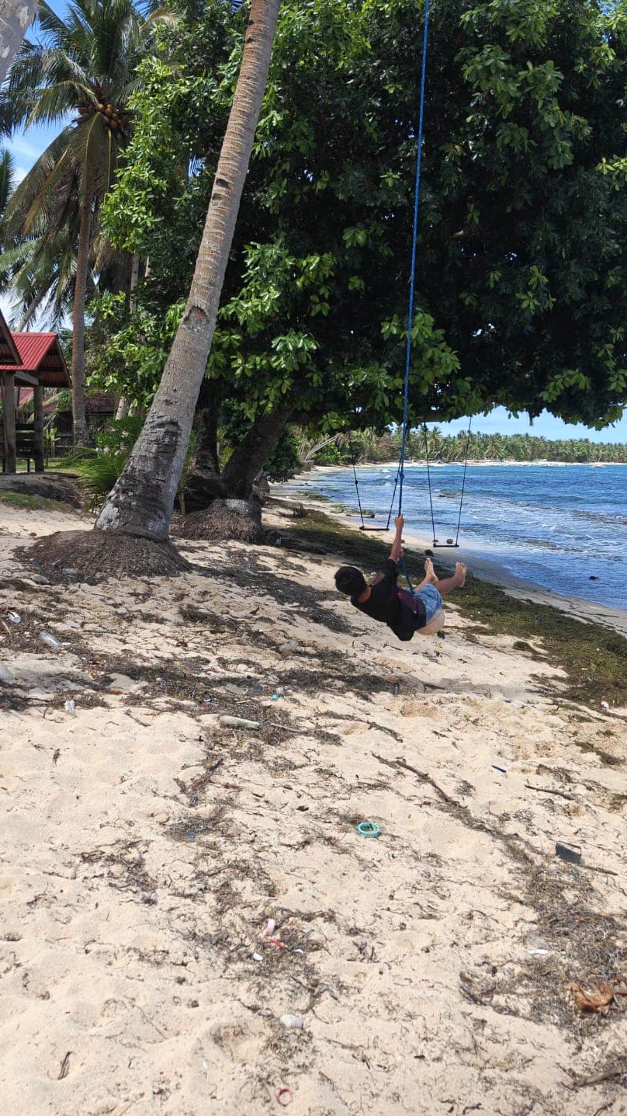 WhatsApp Image 2026-02-26 at 13.17