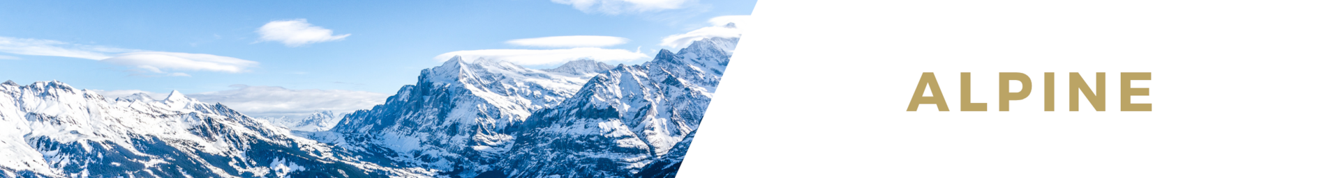 Alpine luxury chalet rentals