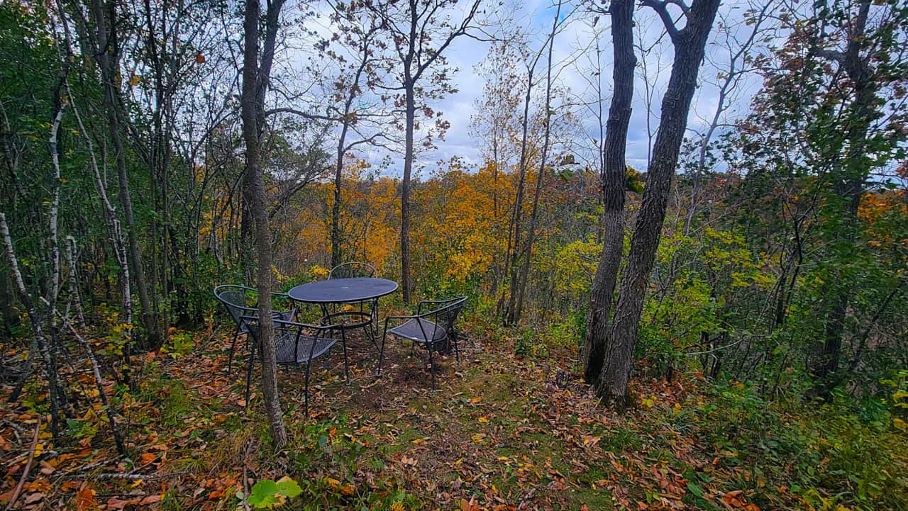 Tilia table fall facing northwest