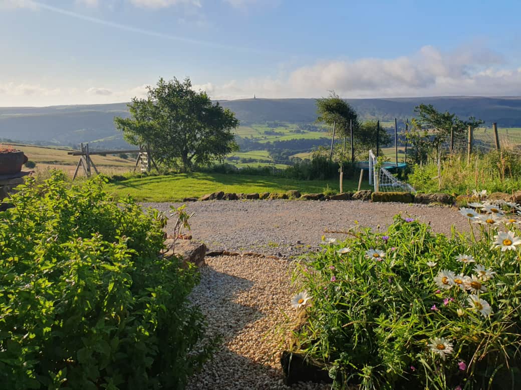 Views out from garden