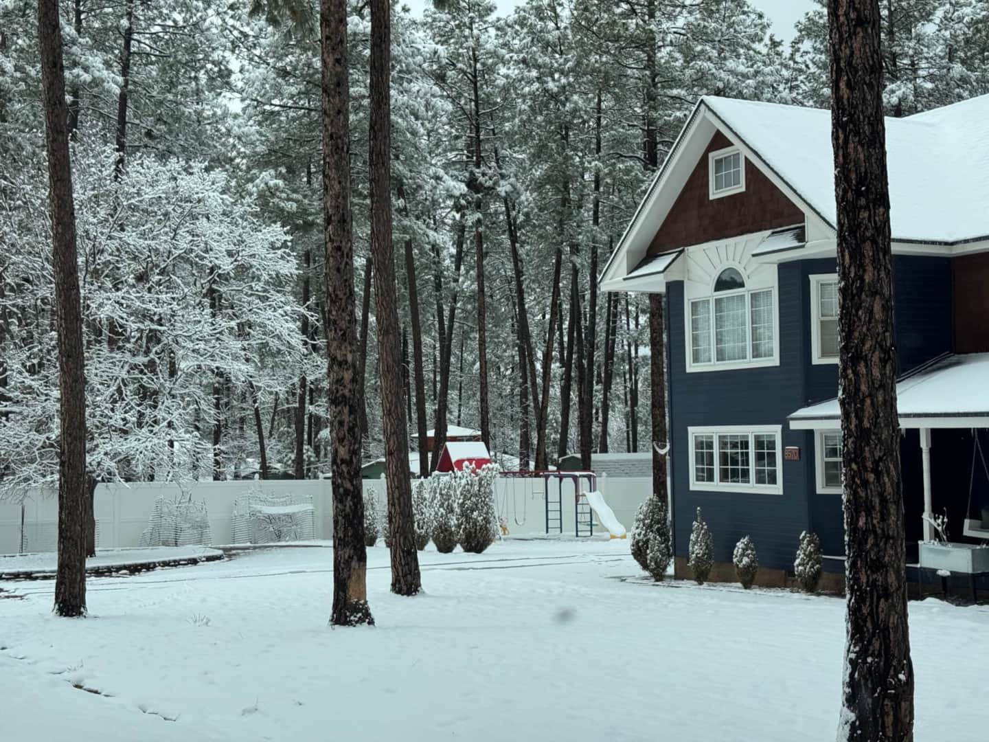 Pine and Strawberry seasonal scenery