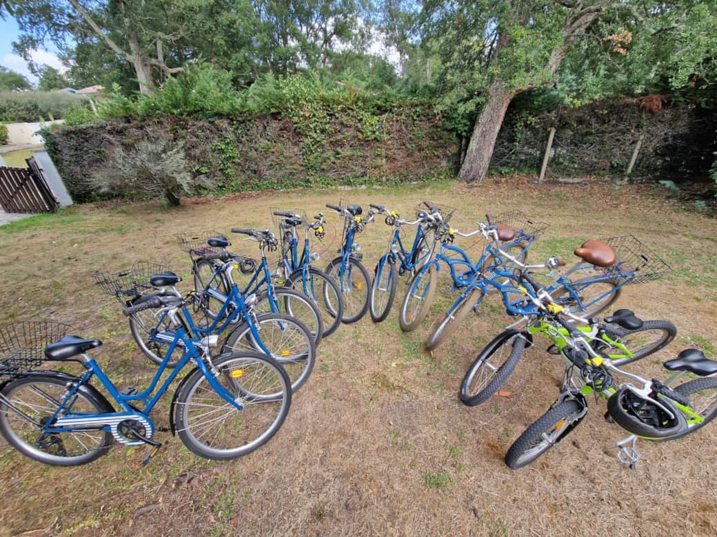 8 vélos adultes et 2 enfants