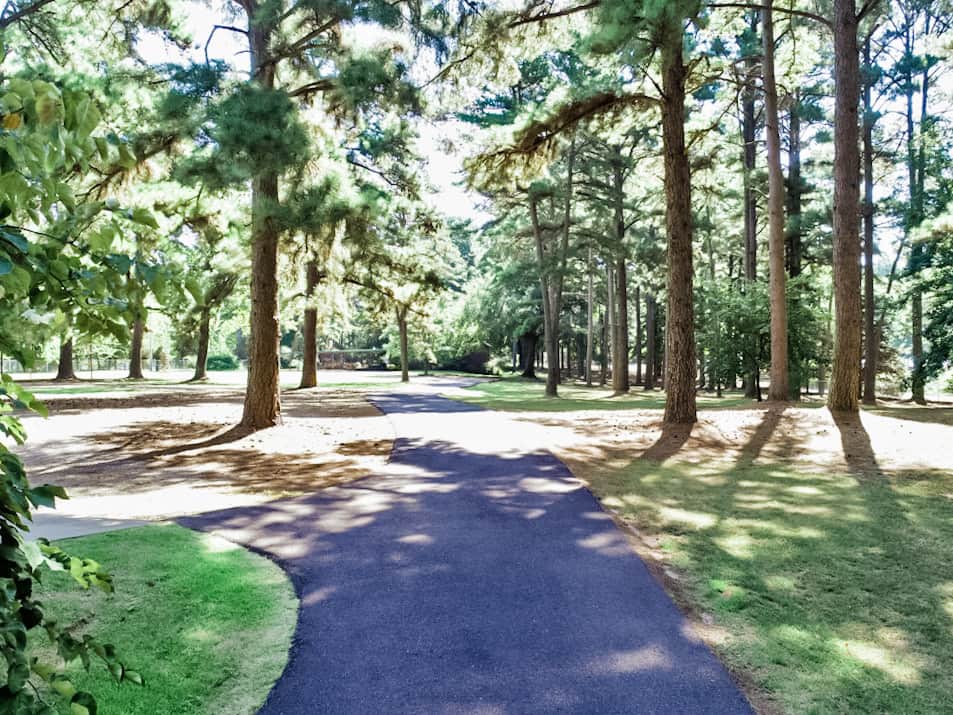 Three-acre fully fenced property with long paved driveway perfect for bike riding Three-acre fully fenced property with long paved driveway perfect for bike riding