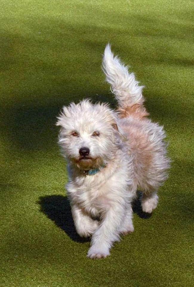 485351402 9895215373843218 5408292437997118377 n