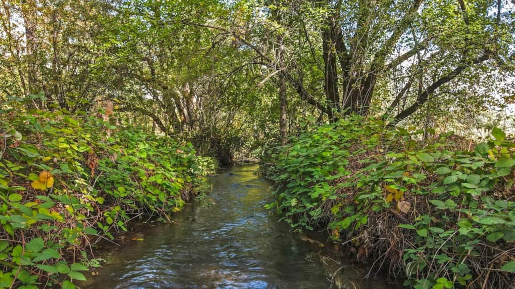 Sheridan Creek flows just beyond the back door. This shaded, peaceful waterway is perfect for morning coffee walks, listening to the gentle current, or letting the kids explore nature right on the property. Sheridan Creek flows just beyond the back door. This shaded, peaceful waterway is perfect for morning coffee walks, listening to the gentle current, or letting the kids explore nature right on the property.