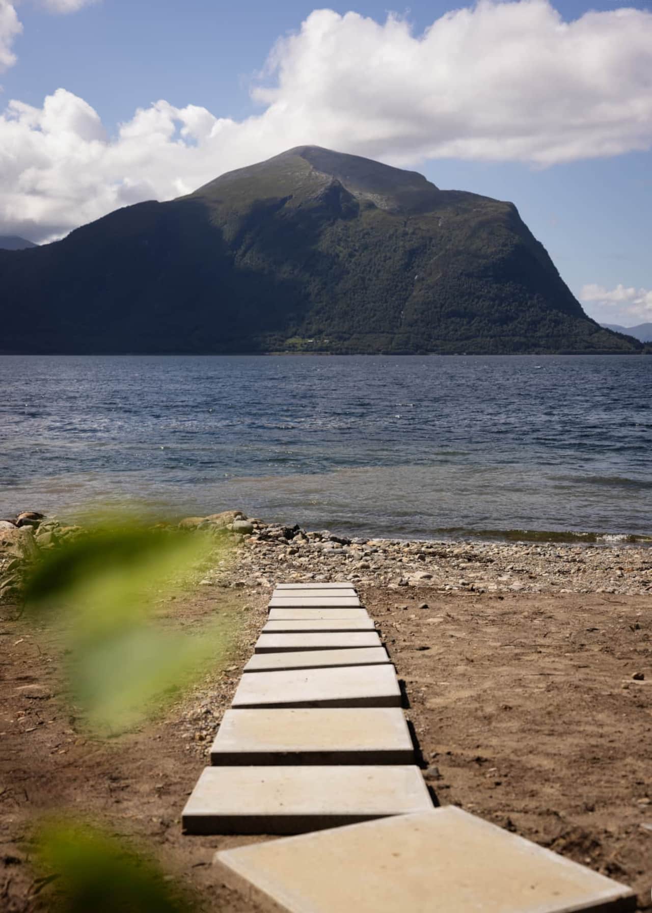 Swim in the fjord