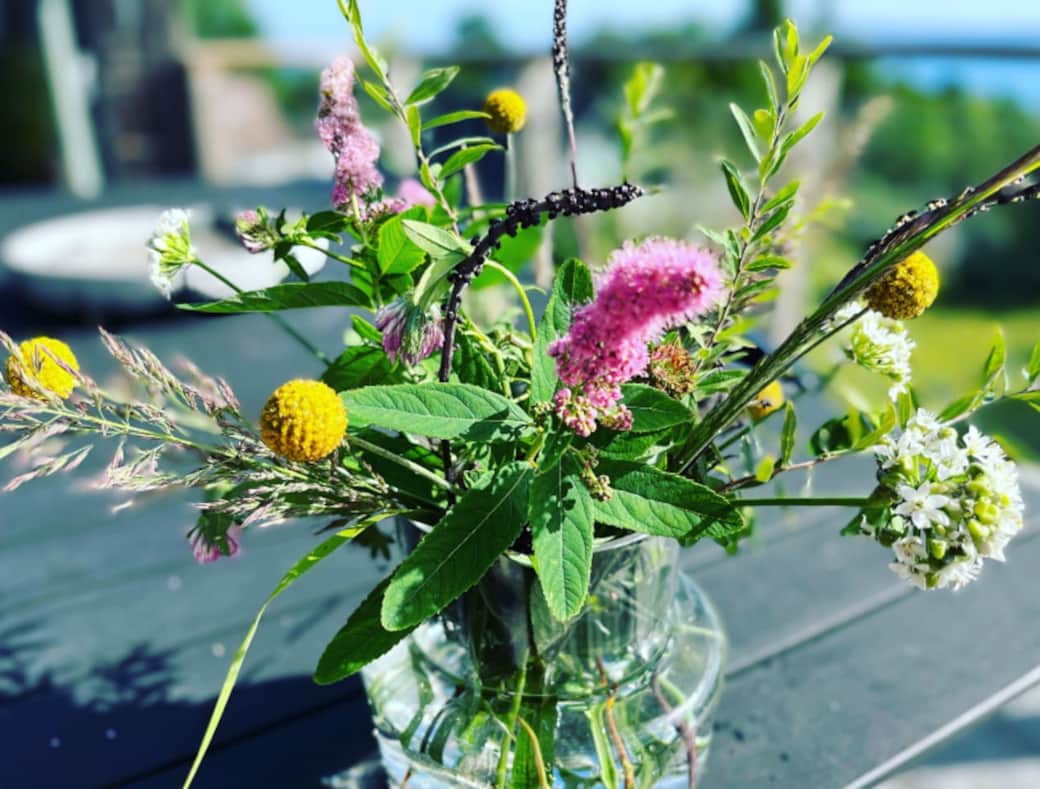 Summer flowers Summer flowers