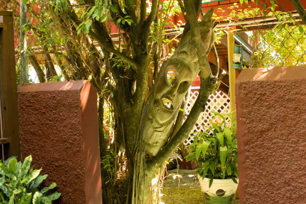 Entrance Entrance