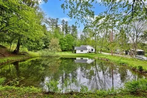 The pond provides year round entertainment