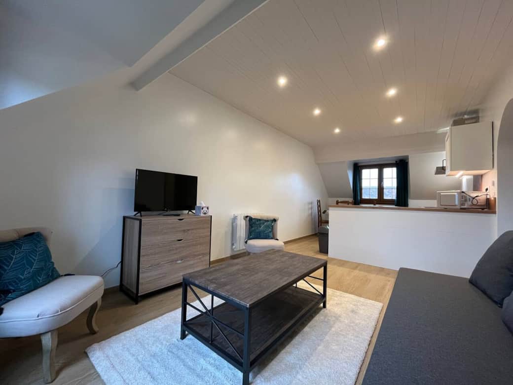 Salon appartement "Les Silex" Salon appartement "Les Silex"