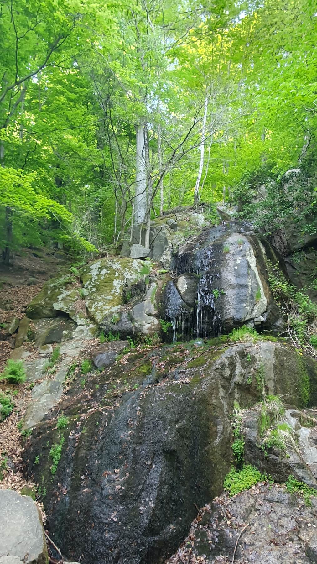 Fallender Bach im Rodensteiner Wald.jpg