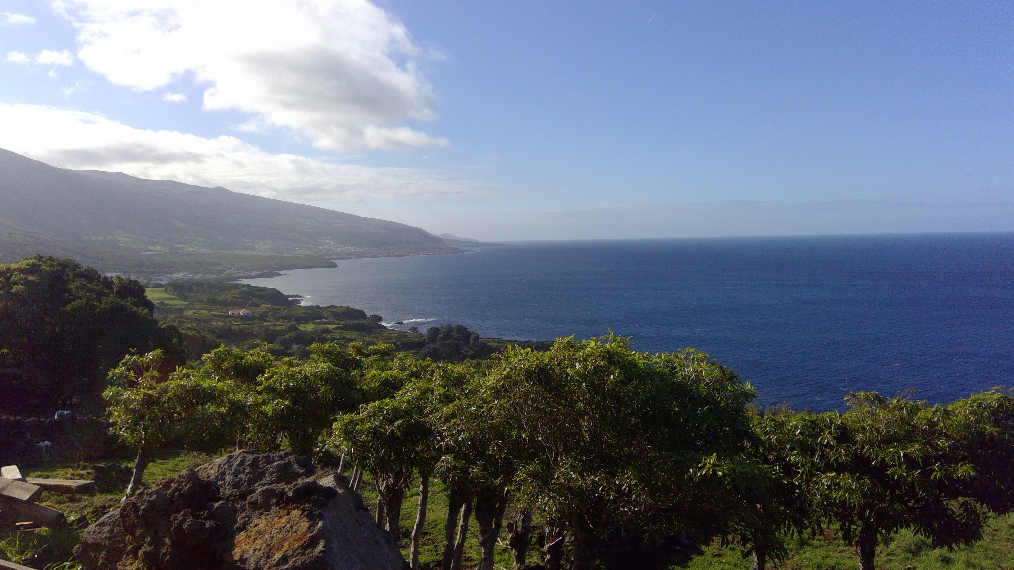 Vista mar / Sea view