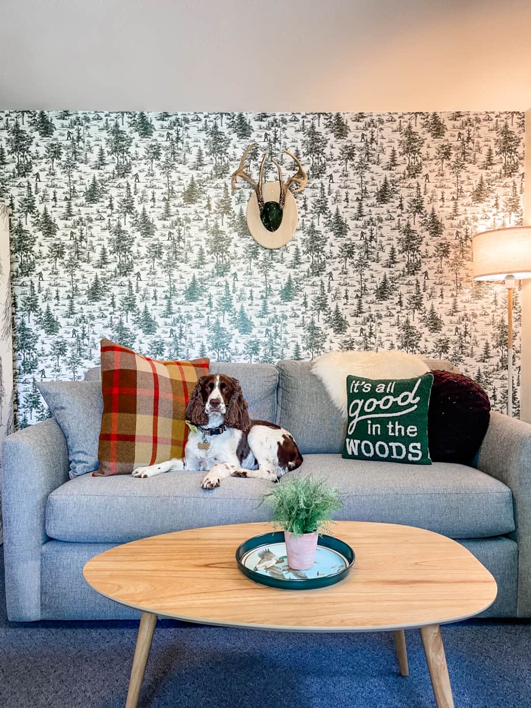 Livingroom2