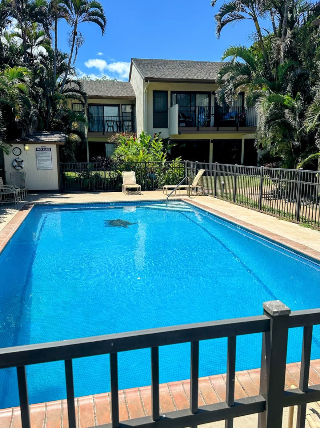 Saltwater Pool, year-round use!